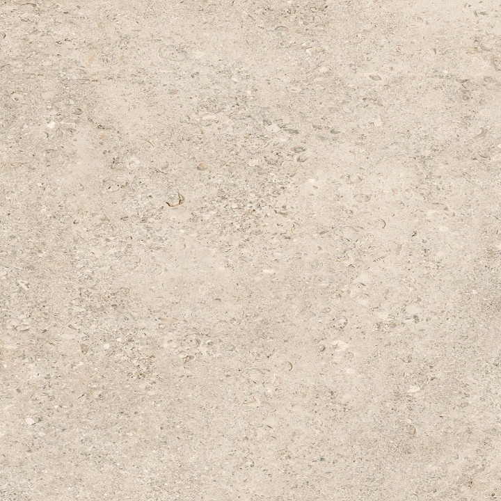 ShellAmber Rettificato